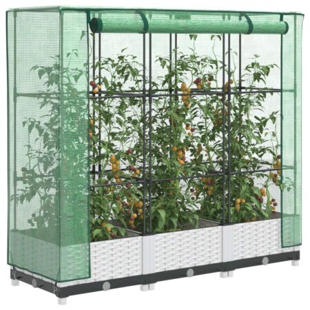 Højbed med drivhusovertræk 120×40×123 cm - rattan-look, hvid/grøn
