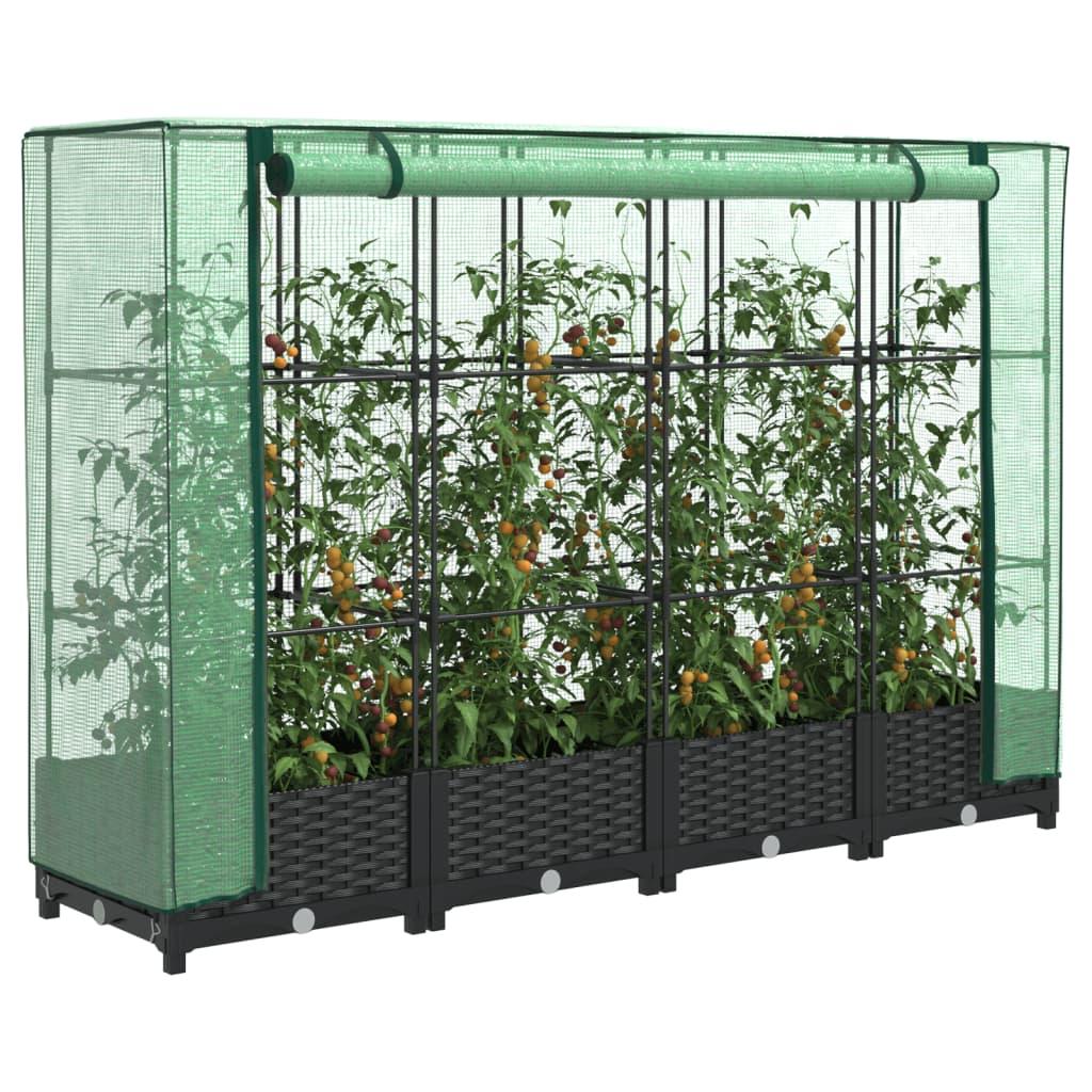 Højbed med drivhusovertræk i rattan-look - 160 × 40 × 123 cm, sort/grøn Højbed med drivhusovertræk i rattan-look - 160 × 40 × 123 cm, sort/grøn