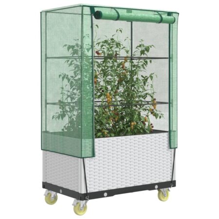 Højbed med drivhusovertræk og hjul 80×50×182 cm - rattan-look, hvid