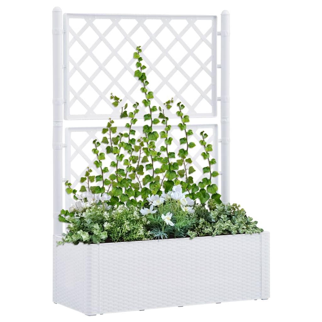 Højbed med espalier og automatisk vandingssystem hvid Højbed med espalier og automatisk vandingssystem hvid