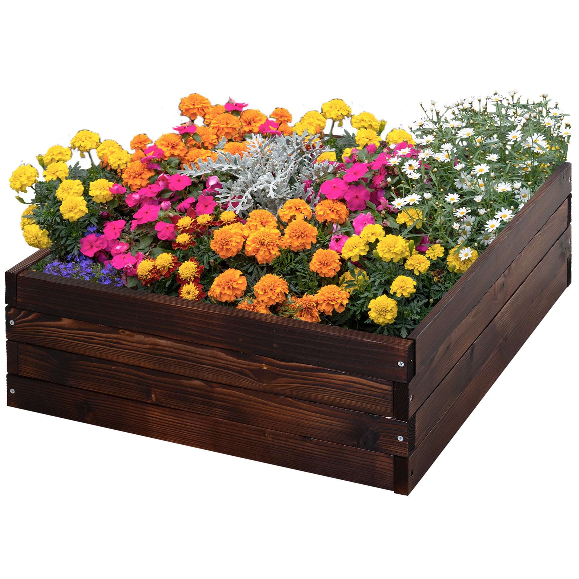 Højbed, plantekasse, grøntsagsbed, urtebed, massivt træ, mørkebrun, 60 x 60 x 23 cm Højbed, plantekasse, grøntsagsbed, urtebed, massivt træ, mørkebrun, 60 x 60 x 23 cm