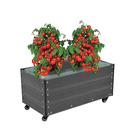 Hortus Kapilærskjuler Wpc 36x50x90 Cm Med Hjul