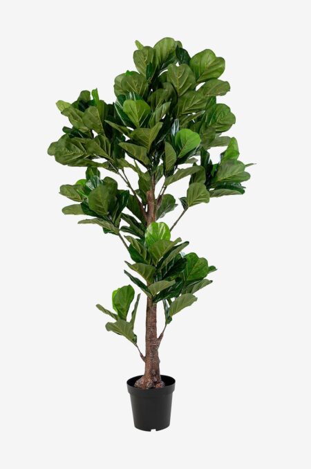 House Nordic - Potteplante Fiddle, kunstig, H190 cm - Gr⌀n - Urtepotteskjulere & vaser - - Homeroom