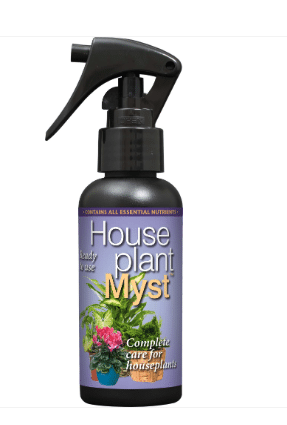 House plant myst.