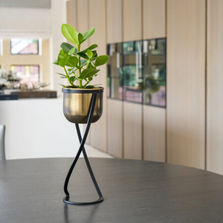 Ivyline Indoor Kensington Tall Brass Metal Round Planter on Stand