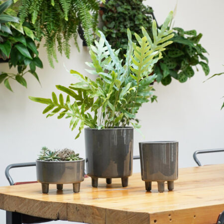 Ivyline Pisa Planter in Slate