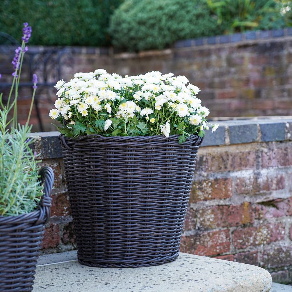 Ivyline Polyrattan Willow Lined Planter / Large