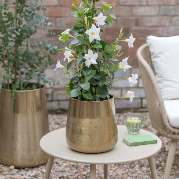 Ivyline Set of 2 Prescot Plant Pots Gold