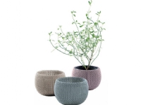 Keter potter Curver Keter COZIES TRIO 3 stk lilla sand blå