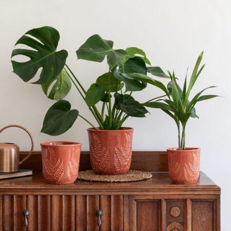 Kew Embossed Fern Plant Pot Rust