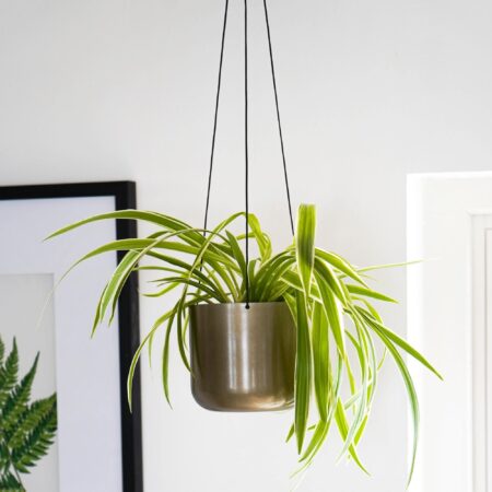 Kew Hanging Plant Pot Brass