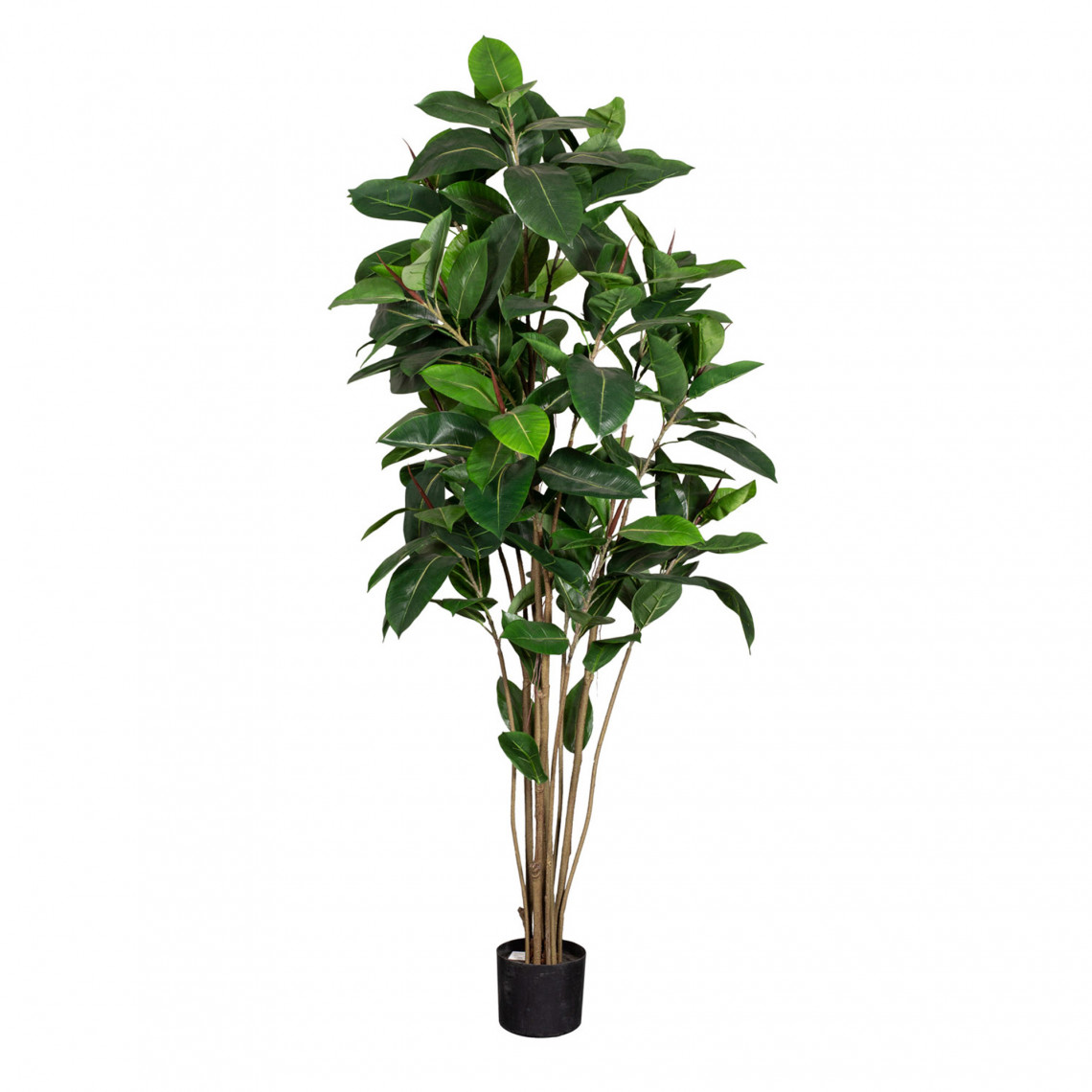 Kunst plante Ficus Robusta Kunst plante Ficus Robusta