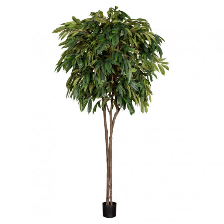 Kunst plante Longifolia træ