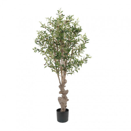 Kunst plante Oliven træ