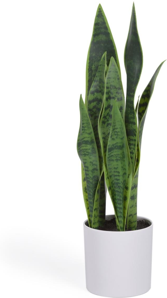 Kunstig plante Kave Home Sansevieria - dekorativ imitation sansevieria i hvid potte med rustik kolonial charme Kunstig plante Kave Home Sansevieria - dekorativ imitation sansevieria i hvid potte med rustik kolonial charme
