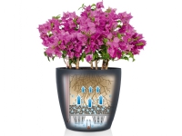 LECHUZA Classico Color 28, Potteplante, Fritstående, Polypropylen (PP), Hvid, Rund, Indendørs