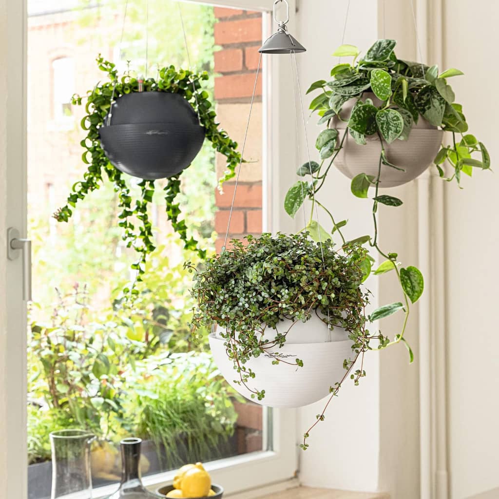 LECHUZA hængende plantekrukke BOLA Color 32 ALL-IN-ONE sandbrun LECHUZA hængende plantekrukke BOLA Color 32 ALL-IN-ONE sandbrun