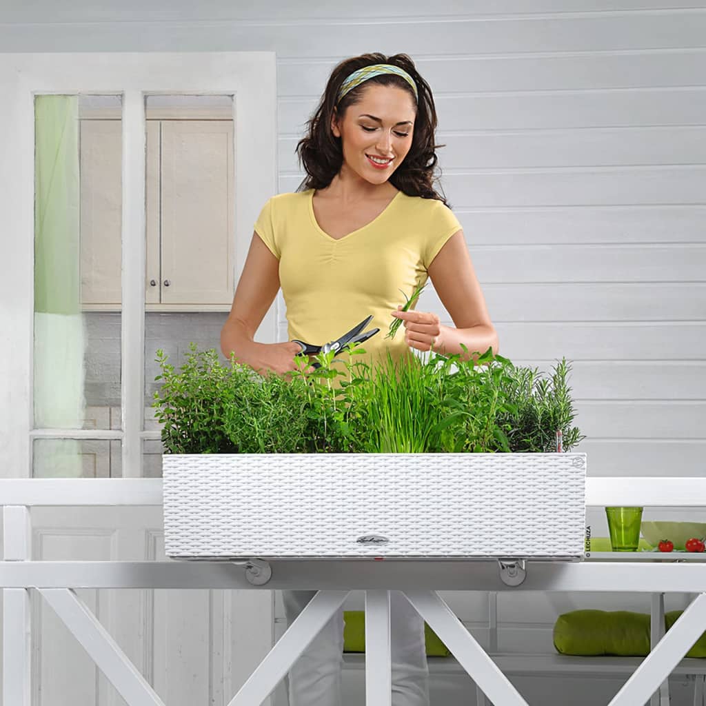 LECHUZA plantekasse BALCONERA Cottage 80 ALL-IN-ONE hvid LECHUZA plantekasse BALCONERA Cottage 80 ALL-IN-ONE hvid