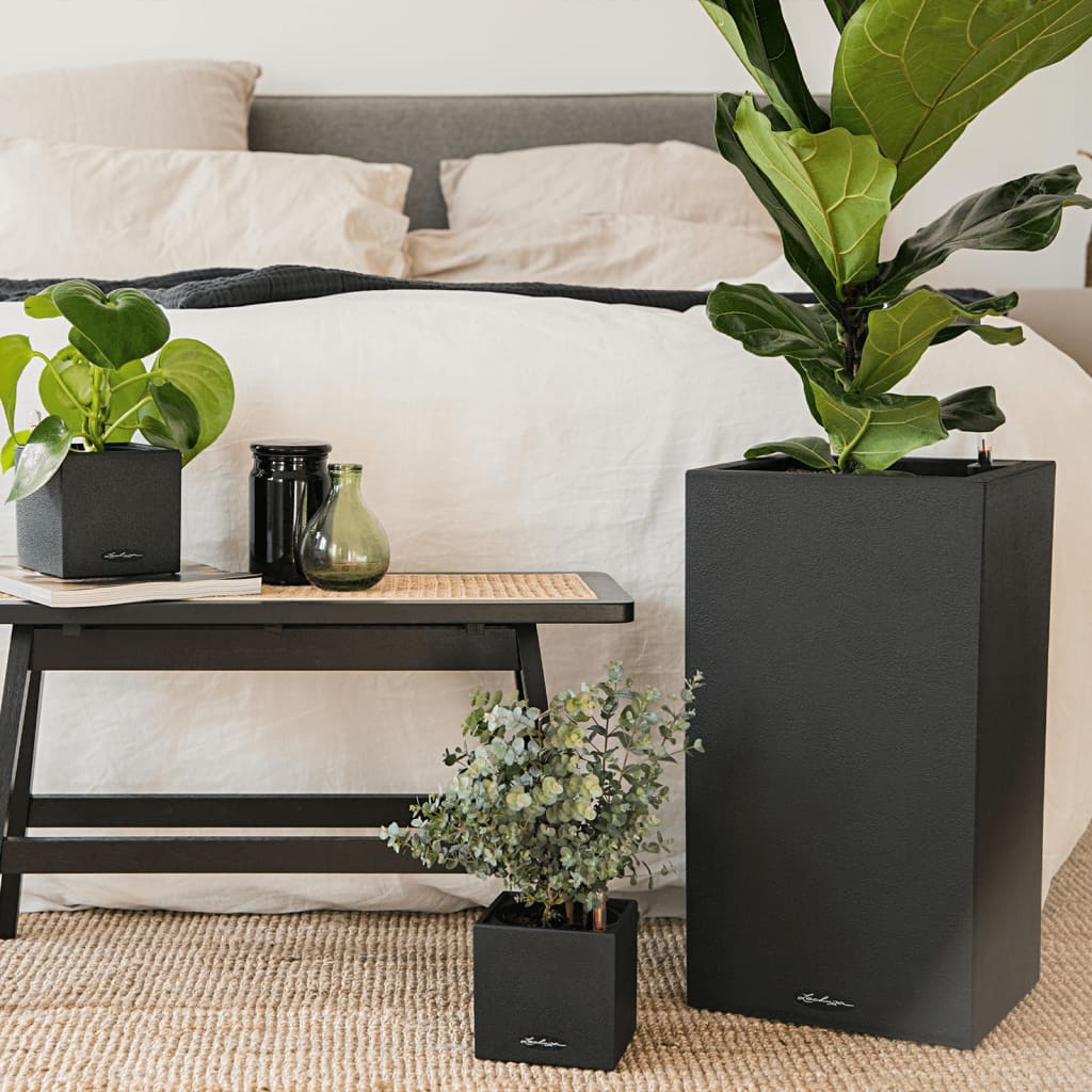 LECHUZA plantekrukke CANTO Stone 30 High ALL-IN-ONE grafitsort LECHUZA plantekrukke CANTO Stone 30 High ALL-IN-ONE grafitsort