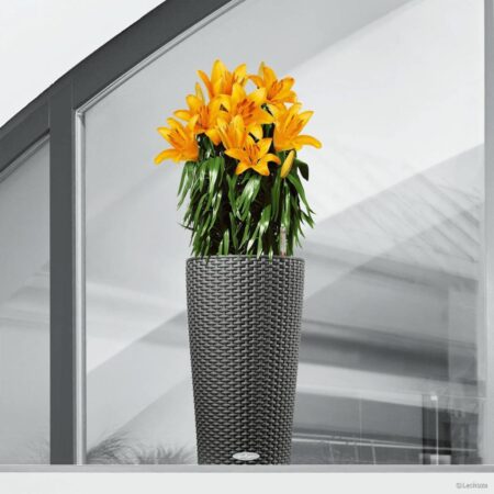 LECHUZA plantekrukke CILINDRO Cottage 23 ALL-IN-ONE 23 cm gråsort