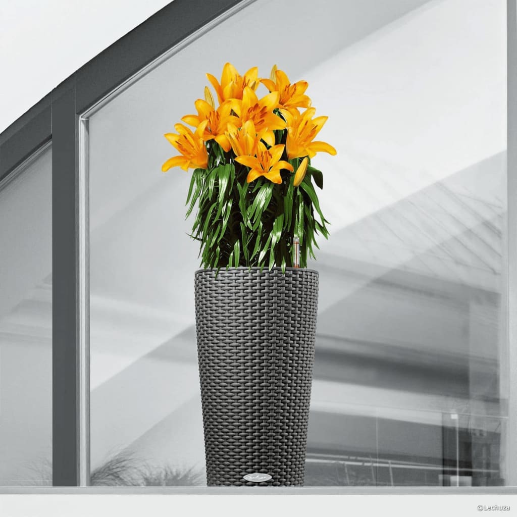 LECHUZA plantekrukke CILINDRO Cottage 23 ALL-IN-ONE 23 cm gråsort LECHUZA plantekrukke CILINDRO Cottage 23 ALL-IN-ONE 23 cm gråsort