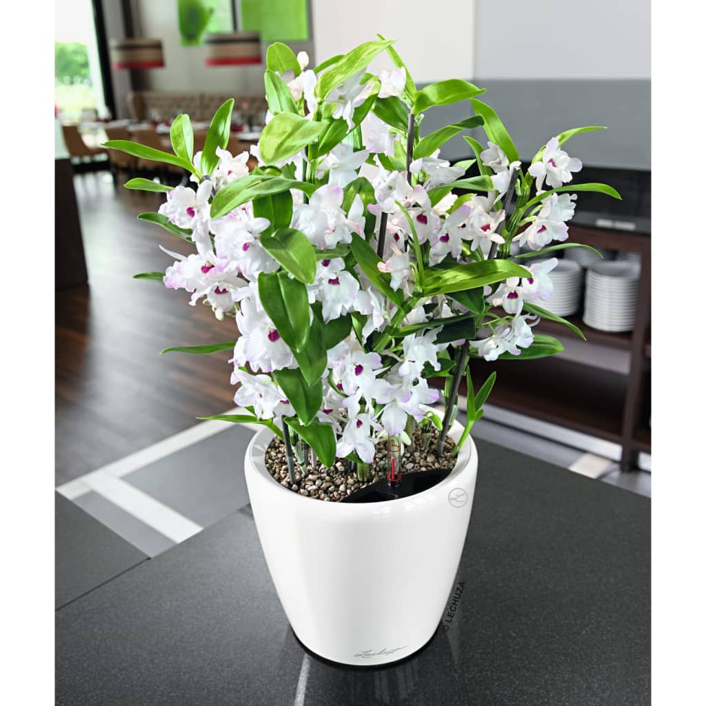 LECHUZA plantekrukke CLASSICO LS 21 ALL-IN-ONE hvid højglans LECHUZA plantekrukke CLASSICO LS 21 ALL-IN-ONE hvid højglans