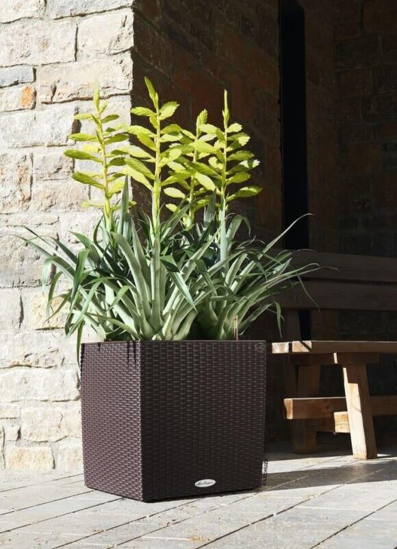 LECHUZA plantekrukke CUBE Cottage 40 ALL-IN-ONE mokkafarvet