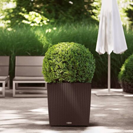 LECHUZA plantekrukke CUBE Cottage 50 ALL-IN-ONE mokkafarvet