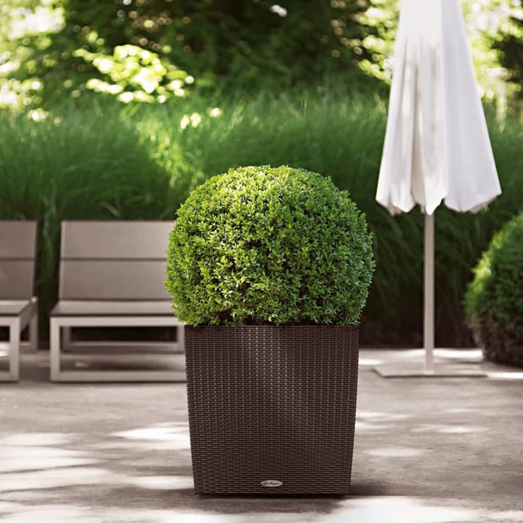 LECHUZA plantekrukke CUBE Cottage 50 ALL-IN-ONE mokkafarvet LECHUZA plantekrukke CUBE Cottage 50 ALL-IN-ONE mokkafarvet