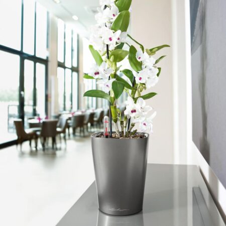 LECHUZA plantekrukke DELTINI ALL-IN-ONE metallisk kulsort