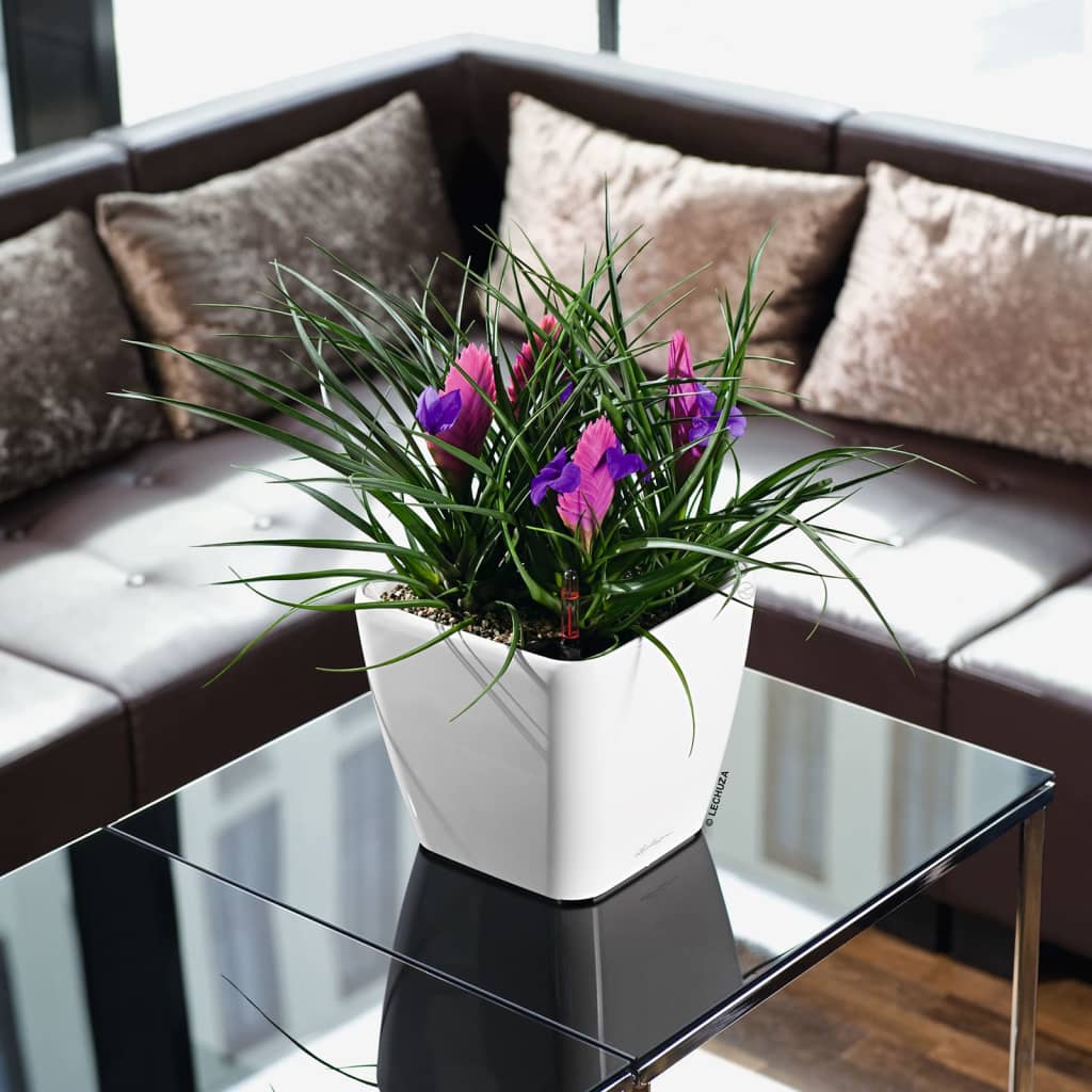 LECHUZA plantekrukke QUADRO LS 21 ALL-IN-ONE hvid højglans LECHUZA plantekrukke QUADRO LS 21 ALL-IN-ONE hvid højglans