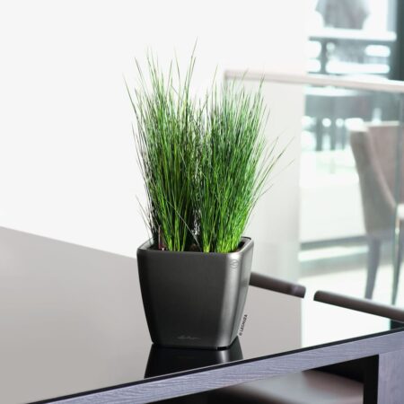 LECHUZA plantekrukke QUADRO LS 21 ALL-IN-ONE metallisk sort