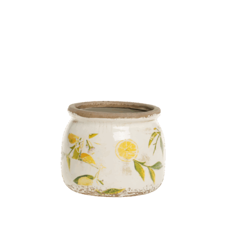 LIMONE krukke m. citroner mini