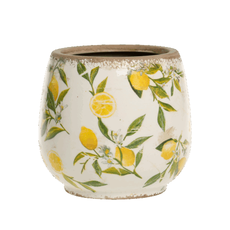 LIMONE krukke m. citroner stor