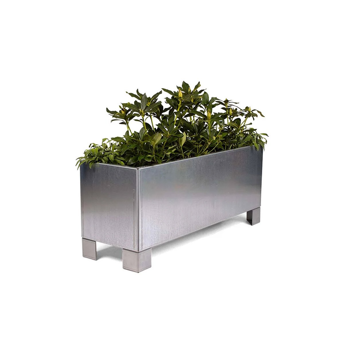 Land Modern Aflang plantekasse i galvaniseret stål med ben - 40 x 80 cm Land Modern Aflang plantekasse i galvaniseret stål med ben - 40 x 80 cm