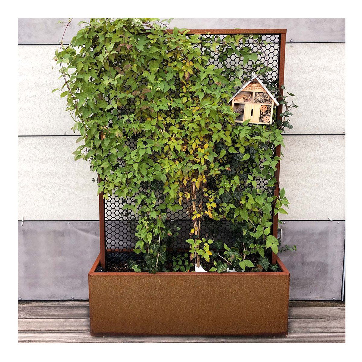 Land Modern Plantekasse med højt espalier i Corten Land Modern Plantekasse med højt espalier i Corten