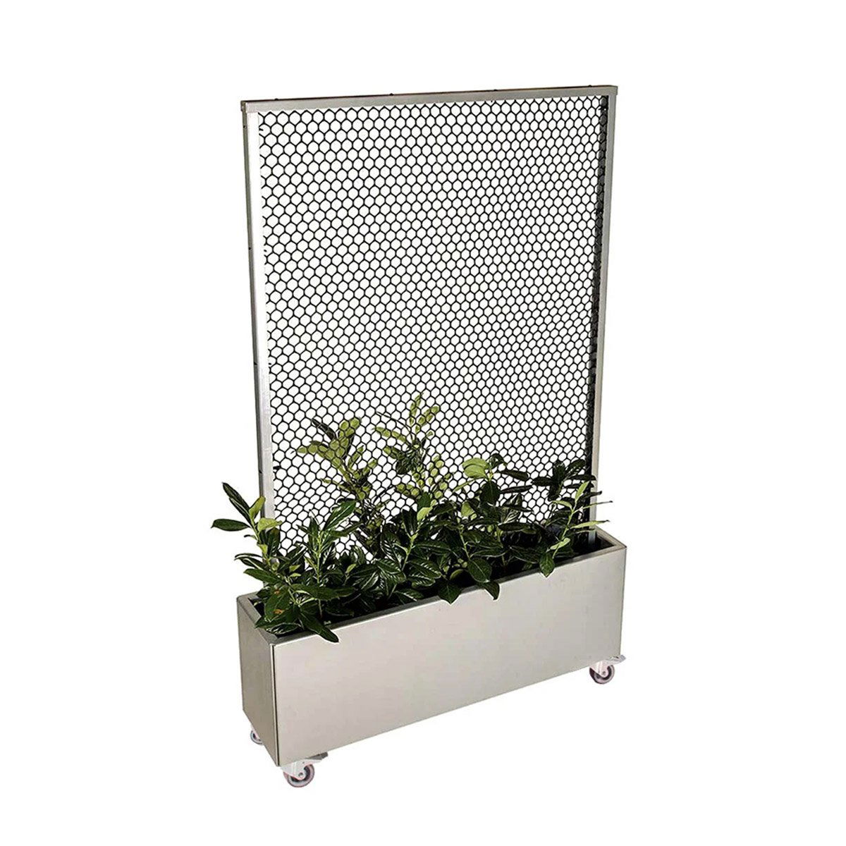 Land Modern Plantekasse med højt espalier på hjul, galvaniseret Land Modern Plantekasse med højt espalier på hjul, galvaniseret
