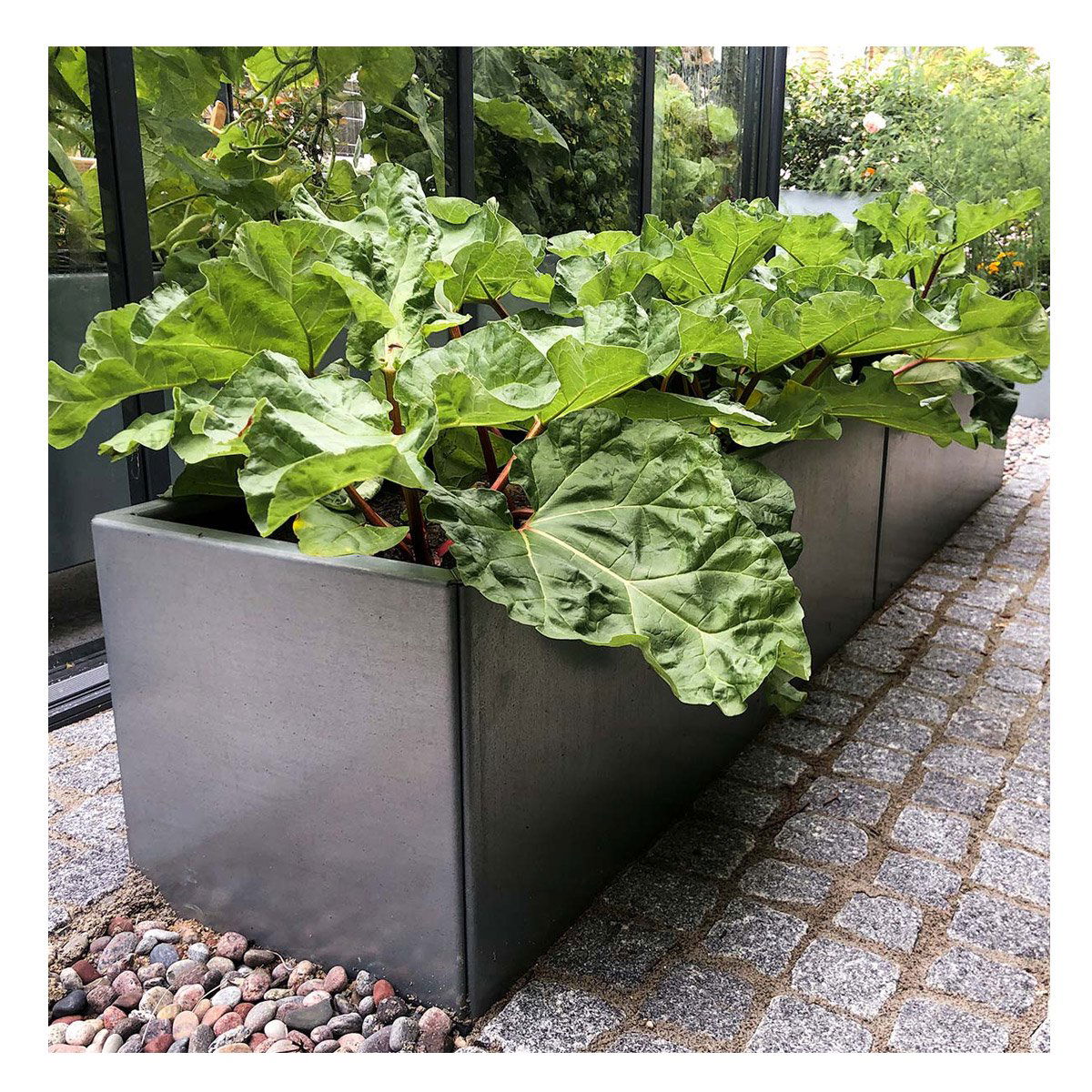 Land Modern Stort aflangt højbed i galvaniseret stål - 40 x 160 x 40 cm Land Modern Stort aflangt højbed i galvaniseret stål - 40 x 160 x 40 cm