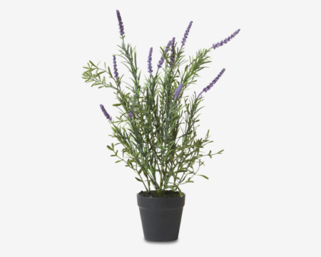 Lavendel Potte Plastik H.41 cm