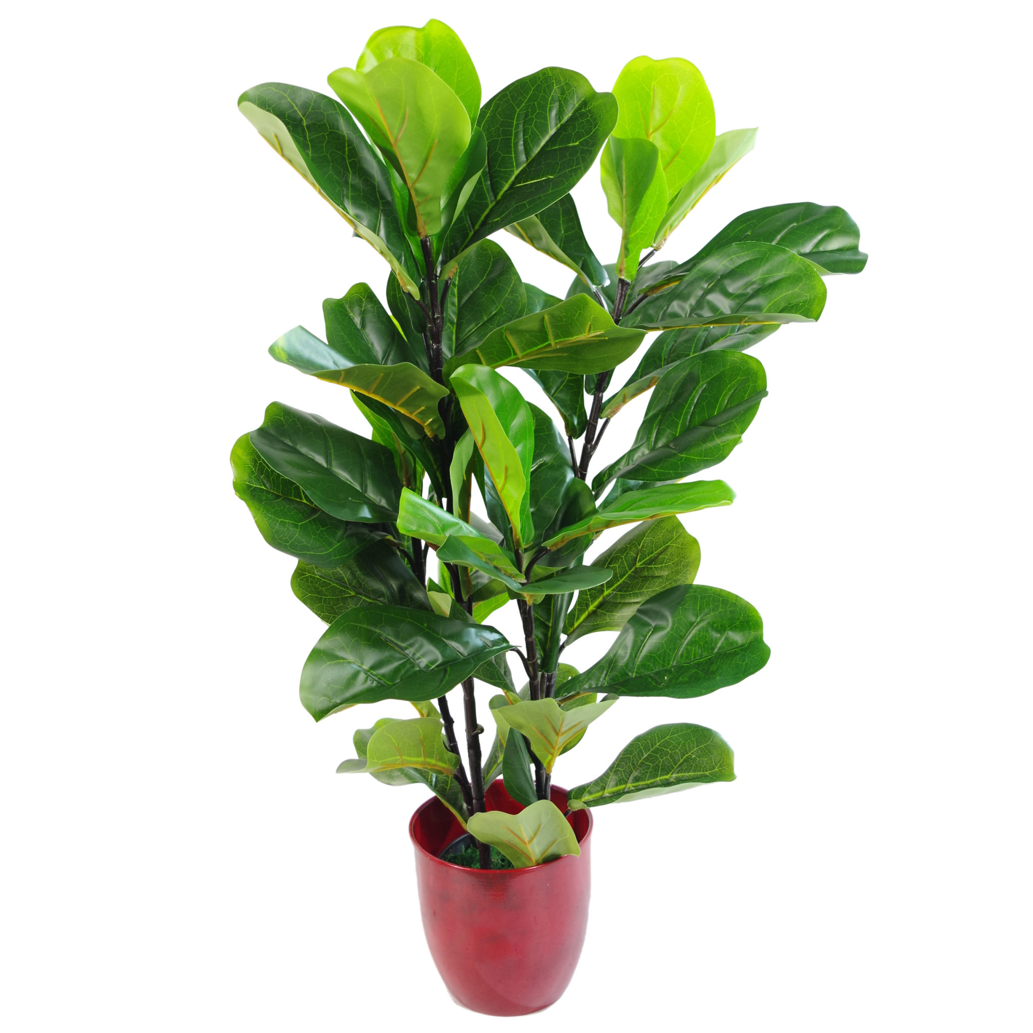 Leaf Design 90cm (3ft) Large Artificial Fiddle Fig Tree Ficus Lyrata Plant Leaf Design 90cm (3ft) Large Artificial Fiddle Fig Tree Ficus Lyrata Plant