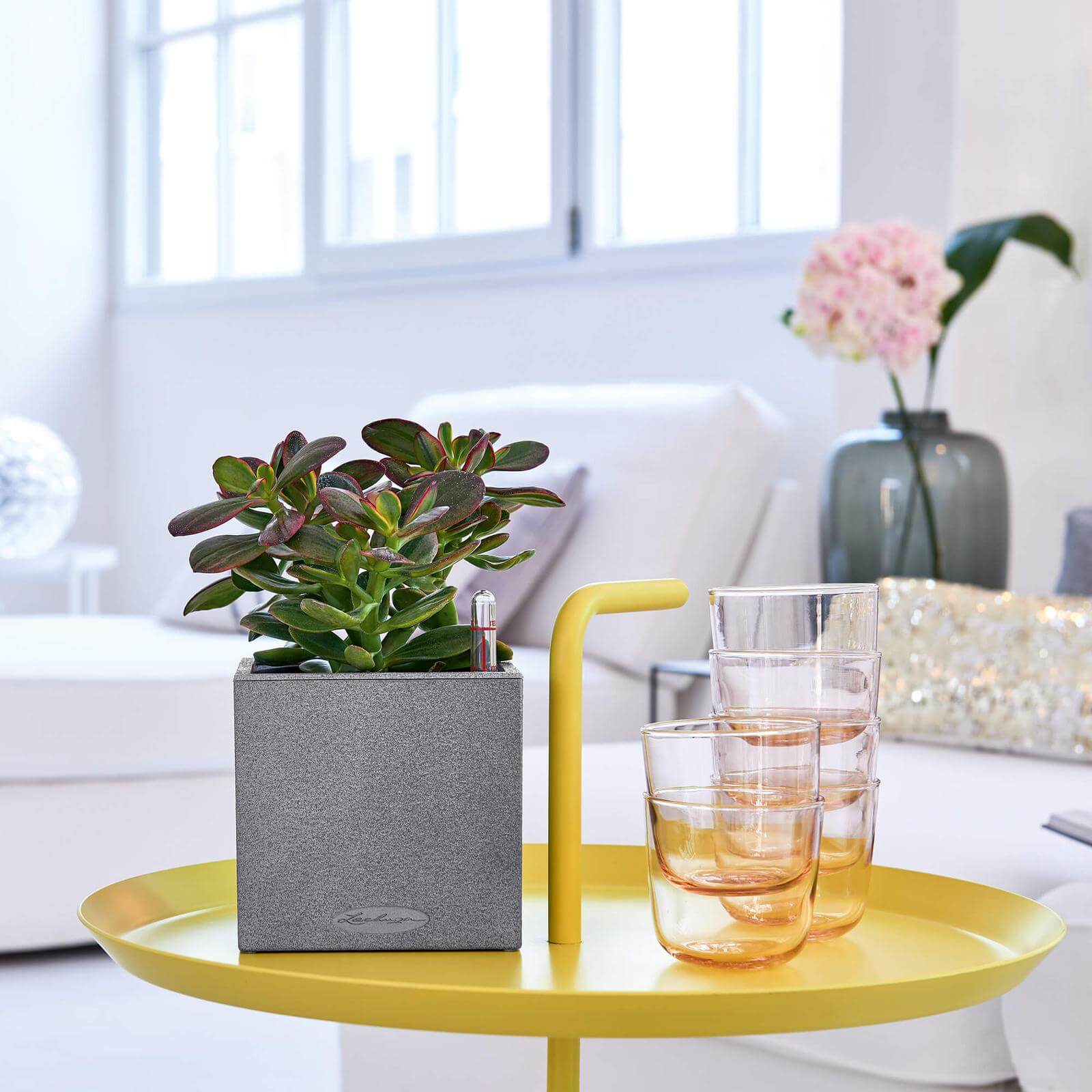 Lechuza Canto Stone 14 indendørs krukke til blomster med selvvandingssystem Graphite black Lechuza Canto Stone 14 indendørs krukke til blomster med selvvandingssystem Graphite black