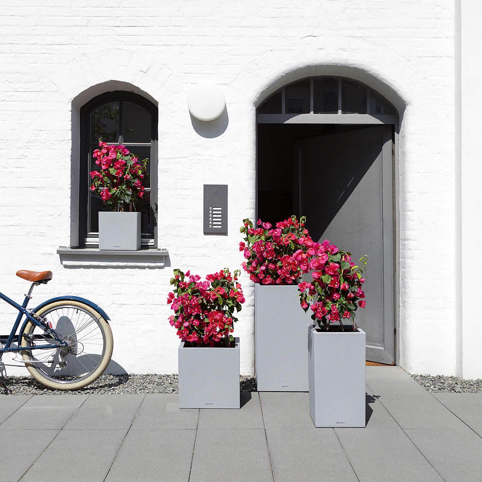 Lechuza Canto Stone Low udendørs krukke til blomster med selvvandingssytem Stone gray 30 x 30 x H30 cm Lechuza Canto Stone Low udendørs krukke til blomster med selvvandingssytem Stone gray 30 x 30 x H30 cm