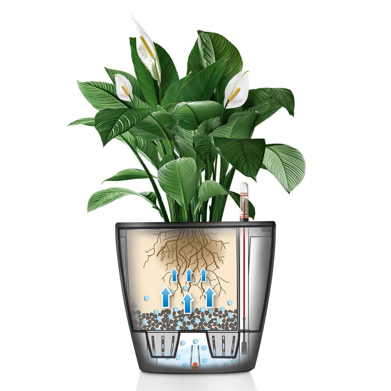 Lechuza Classico Premium LS indendørs krukke til blomster med selvvandingssystem Charcoal metallic Ø21 x H20 cm Lechuza Classico Premium LS indendørs krukke til blomster med selvvandingssystem Charcoal metallic Ø21 x H20 cm