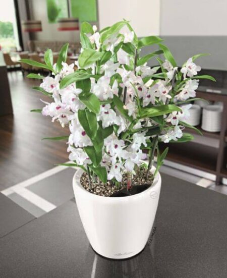 Lechuza Classico Premium LS indendørs krukke til blomster med selvvandingssystem Hvid Højglans Ø21 x H20 cm