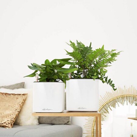 Lechuza Cube Glossy 16 indendørs krukke til blomster med selvvandingssystem Charcoal Højglans