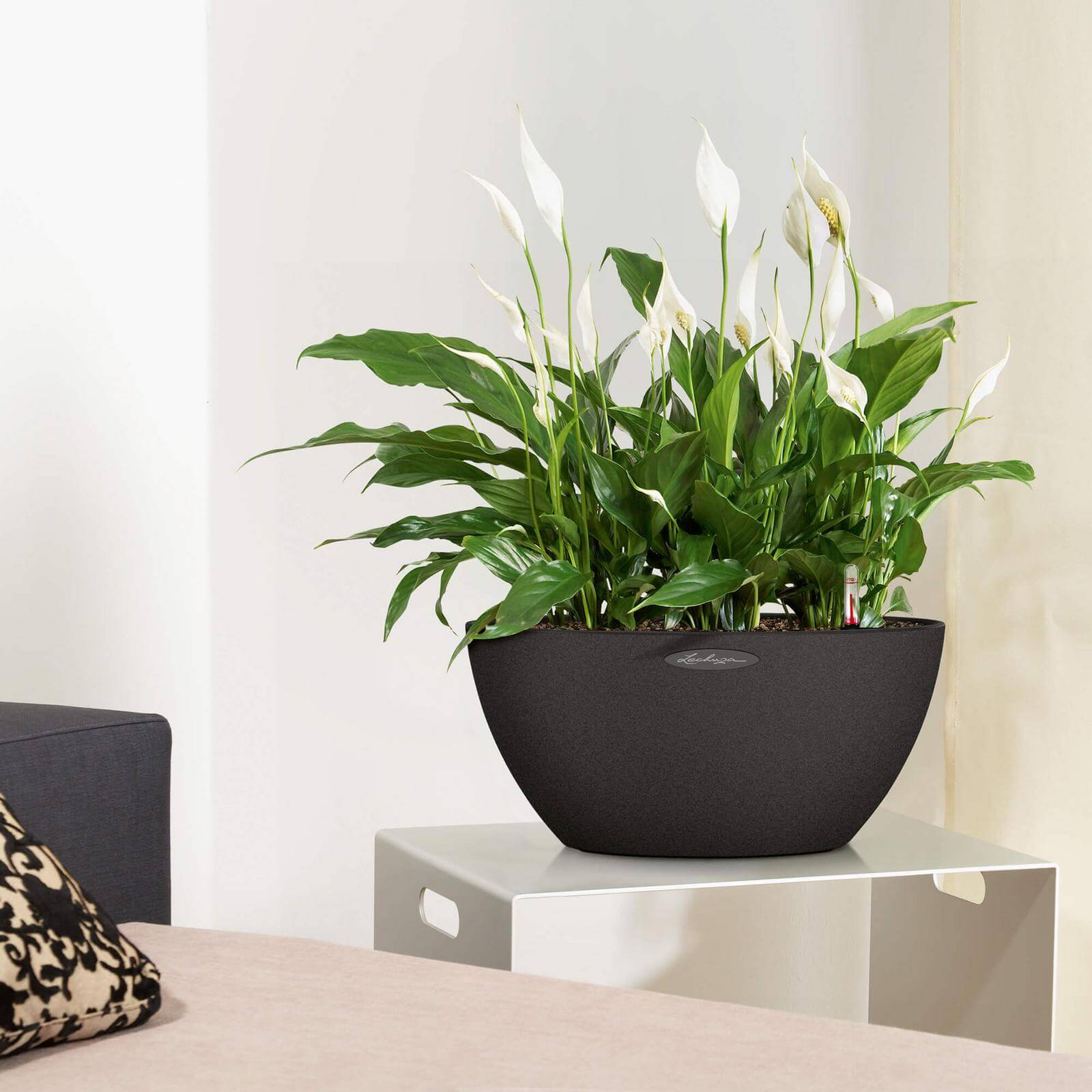 Lechuza Cubeto Stone udendørs krukke til blomster med selvvandingssystem Graphite black Ø40xH18 cm Lechuza Cubeto Stone udendørs krukke til blomster med selvvandingssystem Graphite black Ø40xH18 cm