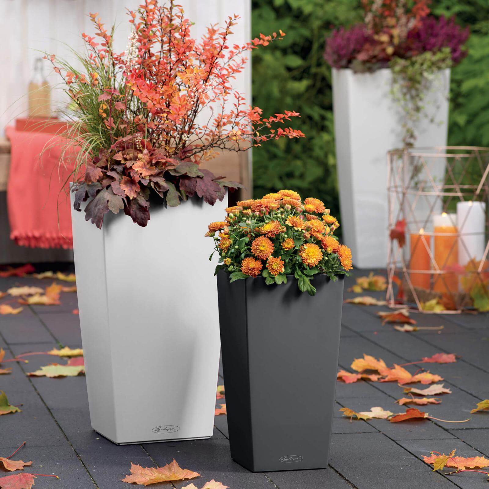 Lechuza Cubico Color krukke til blomster med selvvandingssystem Slate 22 x 22 x H41 cm Lechuza Cubico Color krukke til blomster med selvvandingssystem Slate 22 x 22 x H41 cm