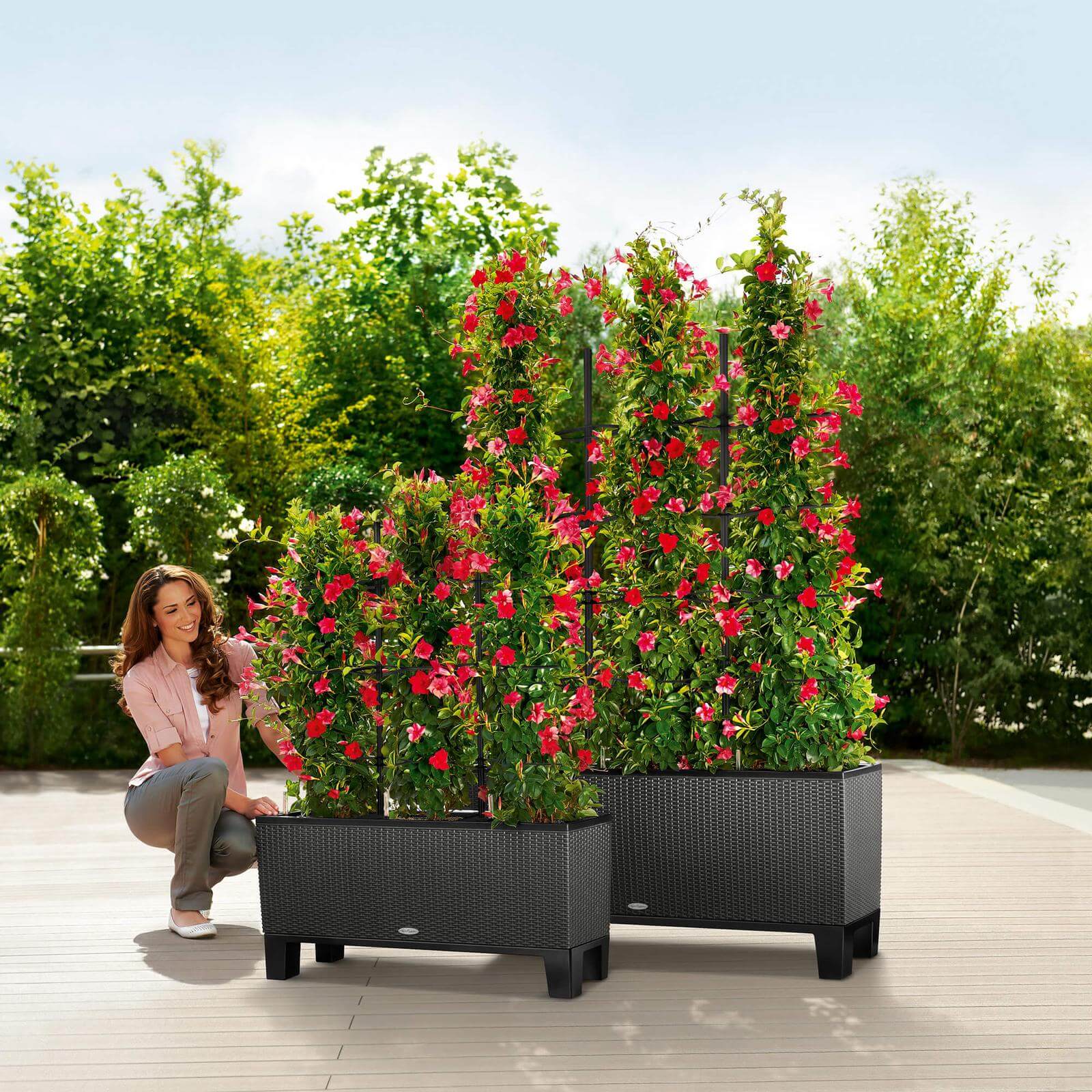 Lechuza Trio Cottage udendørs krukke til blomster med selvvandingssystem 100 x 32 x H34 cm Lechuza Trio Cottage udendørs krukke til blomster med selvvandingssystem 100 x 32 x H34 cm