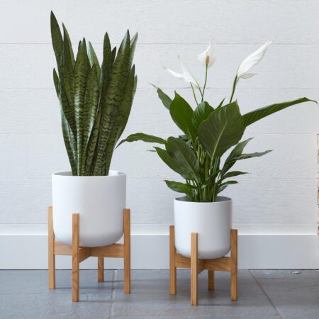 Lisbon Plant Pot White