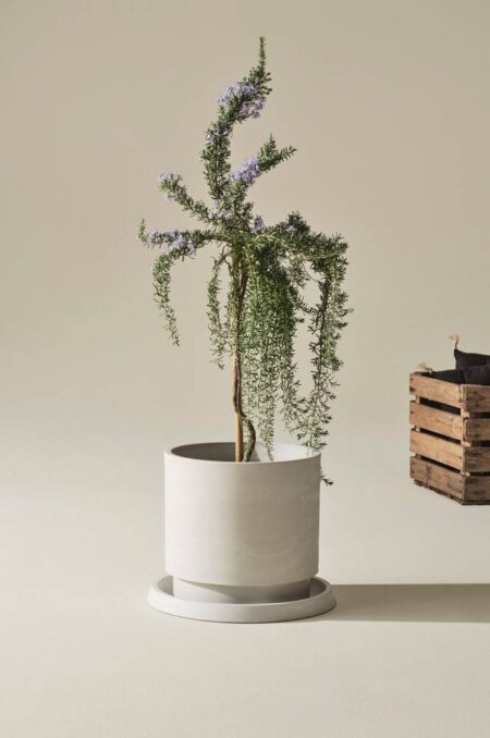 MICHELLE Udend⌀rs krukke Hvid